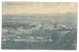 5687 - BEIUS, Bihor, Panorama, Romania - old postcard - used - 1916