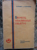 Alexandru O. Teodoreanu - Hronicul Mascariciului Valatuc