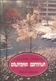 Calatoria continua Alexandru Petrescu editura Albatros an 1984 literatura romana proza editie veche