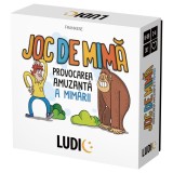 Cumpara ieftin Headu Ludic joc de mima in romana