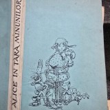 ALICE IN TARA MINUNILOR , LEWIS CARROLL