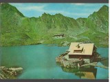 CPI B14818 - CARTE POSTALA - JUDETUL SIBIU. LACUL &quot;BALEA&quot;