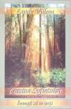 Lumina Sufletului. Invata sa te ierti - Luule Viilma, Dharana, 2008, Romana, 298 pagini