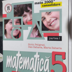 MATEMATICA CLASA A V A ARITMETICA ALGEBRA GEOMETRIE PARTEA I PELIGRAD ZAHARIA