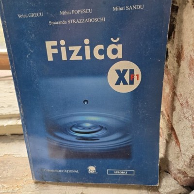 Fizica XI-a F1 - Voicu Grecu foto