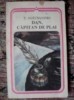 Dan,capitan de plai, Vasile Alecsandri