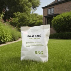 Semințe de gazon pentru zone uscate și călduroase, 5 kg