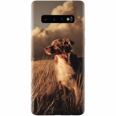 Husa silicon pentru Samsung Galaxy S10 Plus, Alone Dog Animal In Grass foto