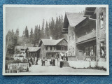 333 - Paltinis - cabane case de odihna / RPR/ carte postala circulata 1956, Necirculata, Fotografie