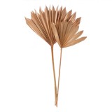 Ramură Decorativă, Model Palmier, Culoare Maro Portocaliu, Set 2 Bucăți, Lungime 55-60cm, Oem