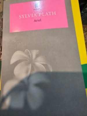 Ariel - Sylvia Plath foto