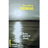 Prin gaura cheii - 2001 - Dumitru Tepeneag (BD130)