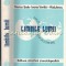 Limbile Lumii. Mica Enciclopedie - Marius Sala, Ioana Vintila-Radulescu