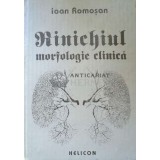 Rinichiul: morfologie clinica - 1992 - Ioan Romosan ($F144)