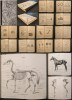 Rar 1930 GHID PRACTIC de POTCOVIT CAI 328 pag 327 figuri 3 planse Anatomie CAL Asociatia Fierarilor Reich-ului Potcovire Podologie Cabaline Lb Germana