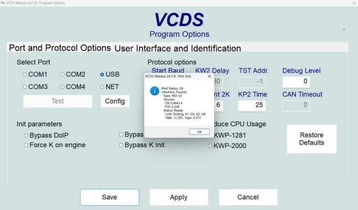 Program de reparatie locenta Revokata VCDS - Procesor Atmega