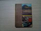 ORGANIZAREA TRANSPORTURILOR AUTO - Stefan Chitescu - 1980, 400 p., Alta editura