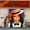 Vinil LP Rod Stewart &ndash; Reflection (VG+)