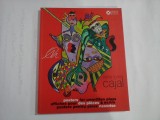 Postere pentru piese nescrise (prezentare in limbile engleza, franceza, romana) - Oana Maria CAJAL
