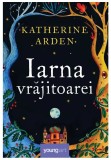 Iarna vrajitoarei