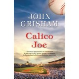 Calico Joe - John Grisham