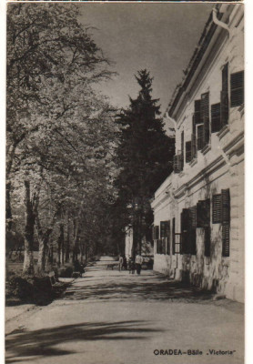 CPIB 21063 CARTE POSTALA - ORADEA. BAILE VICTORIA, RPR, 1959 foto