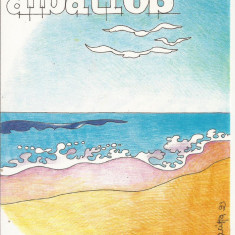 AM1- Carte Postala - MOZAMBIC - Contingente ONU Albatros, necirculata 1993