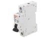 &Icirc;ntrerupător Supracurent 230V 6A 1P C