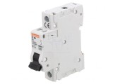 &Icirc;ntrerupător Supracurent 230V 6A 1P C