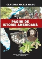 Pagini de istorie americana, Fundatia culturala Ideea Europeana