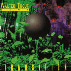 Walter Trout Transition (cd) foto