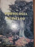 PSIHOLOGIA SUINELOR