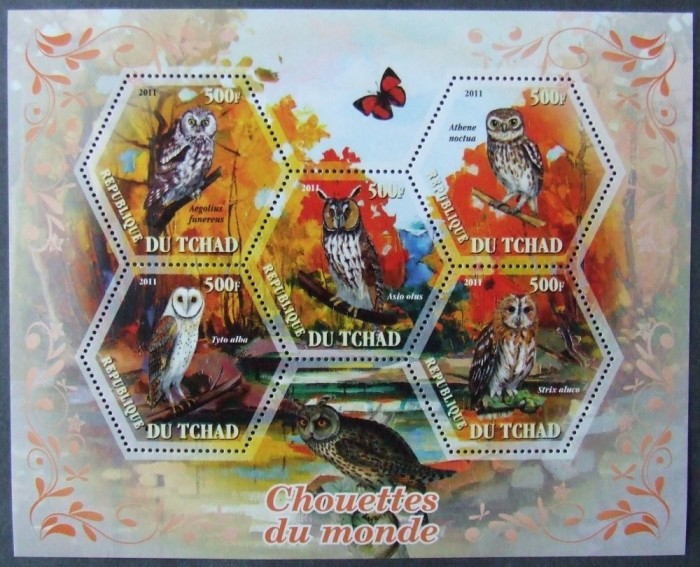 R.DU TCHAD -BUFNITE, -2011, 1 M/SH, NEOBLIT.MNH** - EP 006