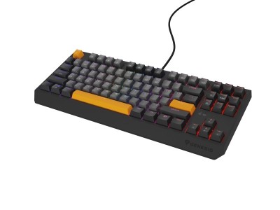 Tastatura Genesis Thor 230 TKL R gri foto