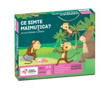 Joc de potrivire - Ce simte maimutica? PlayLearn Toys, Chalk and Chuckles