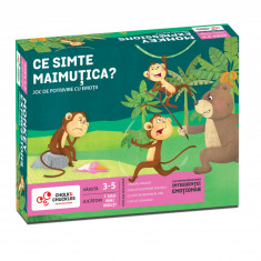 Joc de potrivire - Ce simte maimutica? PlayLearn Toys