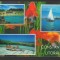CPIB 18680 CARTE POSTALA - CONSTANTA. LITORAL, MOZAIC