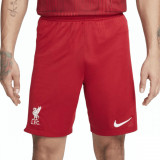 Pantaloni scurti Nike LFC M NK DF STAD SHORT HM