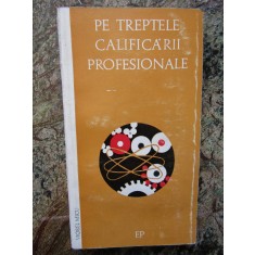 Pe treptele calificarii profesionale - VIOREL MICU