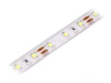 Bandă LED alb rece IP68 12V 4W/m