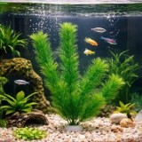 Plantă decorativă artificială pentru acvariu, verde, 30 cm, CMCLASS