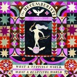 What A Terrible World, What A Beautiful World | The Decemberists, Alternativa/Indie