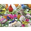 Puzzle Pasari, 500 Piese, Ravensburger