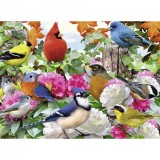 Cumpara ieftin Puzzle Pasari, 500 Piese, Ravensburger