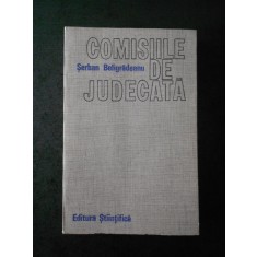 SERBAN BELIGRADEANU - COMISIILE DE JUDECATA