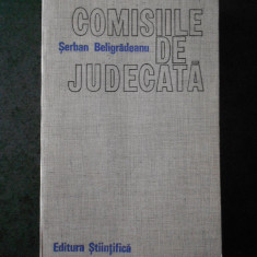 SERBAN BELIGRADEANU - COMISIILE DE JUDECATA
