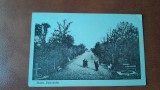 Carte postala, Buzau bulevardul, inceput de secol XX