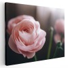 Tablou floare trandafir roz, verde, roz 1617 Tablou canvas pe panza CU RAMA 20x30 cm