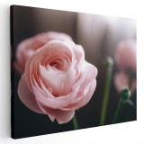 Tablou floare trandafir roz, verde, roz 1617 Tablou canvas pe panza CU RAMA 50x70 cm