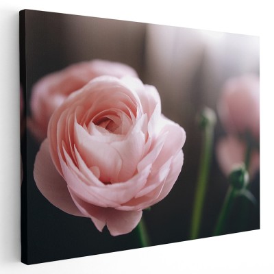 Tablou floare trandafir roz, verde, roz 1617 Tablou canvas pe panza CU RAMA 60x90 cm foto